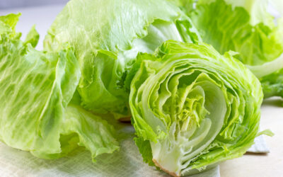 WELLNESS WEDNESDAY #77: Lettuce Work on Fiscal Fitness